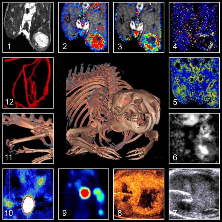 Multimodal Imaging