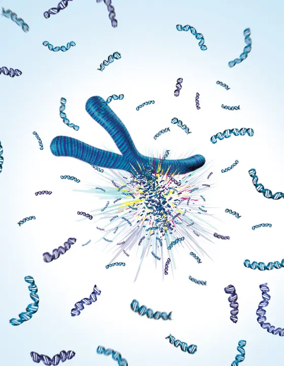 Eine erbliche Veränderung im p53, dem „Wächter des Genoms“, ist möglicherweise die Ursache für explosionsartige Umlagerungen im Erbgut.