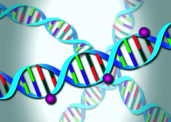 DNA methylation