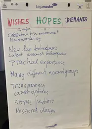 Wishes/Hopes/Demands: During the Welcome Events we asked the new students for their expectations for this new chapter in their career.