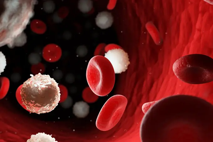 3D illustration of red and white blood cells in a blood vessel.