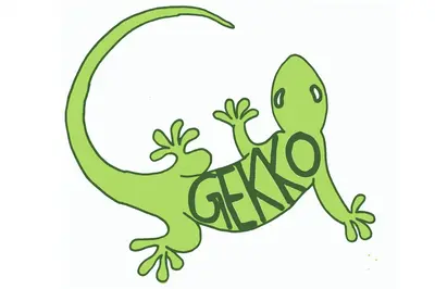 Logo der GEKKO-Studie