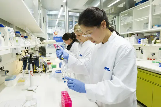 Scientists from the DKFZ and from Bayer working bench-to-bench.