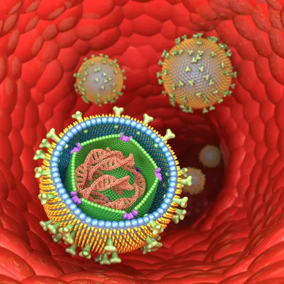 Epstein Barr viruses in blood vessels