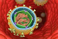 3D illustration of virus particles, including an open Epstein-Barr virus with visible DNA and protein shell in a blood vessel.