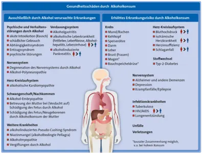 In der Mitte eine schematische Figur, bei der die Organe sichtbar sind, darum herum eine Auflistung der Gesundheitsschäden durch Alkoholkonsum