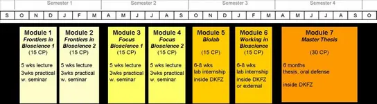 Darstellung des Regel-Studienprogramms. 1. Semester Frontiers in Biosciences: 2 Vorlesungsreihen, 2 dreiwöchige Praktika; 2. Semester: 2 Vorlesungsreihen im Major, 2 dreiwöchige Praktika; 3. Semester: zwei mindestes sechswöchige Forschungspraktika; 4. Semester: sechsmonatige Masterarbeit und Verteidigung der Thesis 