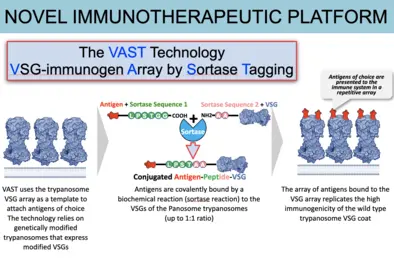 VAST immunotherapeutics platform