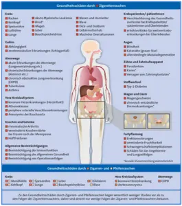 In der Mitte eine schematische Darstellung einer Figur, bei der die Organe sichtbar sind, außen herum eine Auflistung der Gesundheitsschäden, die Rauchen verursacht