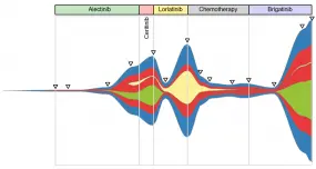 Therapieverlauf anhand eines Fishplots