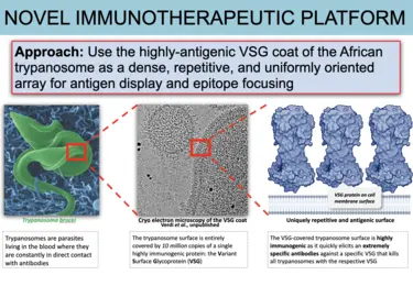 VAST immunotherapeutics platform