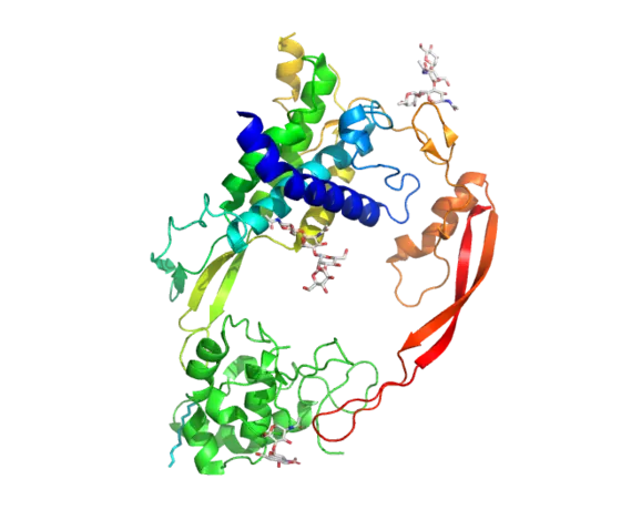 Kristallstruktur von Wnt8