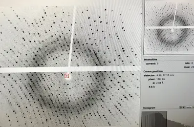 X-ray diffraction image