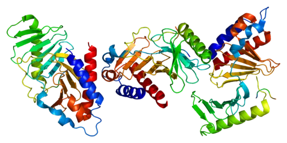 Computergeneriertes Modell des Proteins PLK1