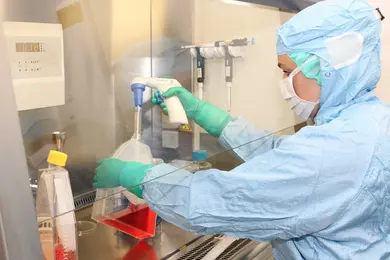 A laboratory technician in a blue sterile suit and gloves is working inside a biosafety cabinet. They are using a pipette to transfer liquid from a beaker into a container while ensuring a clean environment for T-cell therapy preparation.
