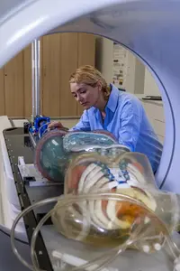 A healthcare professional inspects a medical imaging machine, focusing on a detailed anatomical model inside it. The setting appears to be a clinical environment, highlighting the connection between technology and patient care.