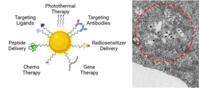 Golden nanoparticles in glioblastoma stem-like cells (TEM)