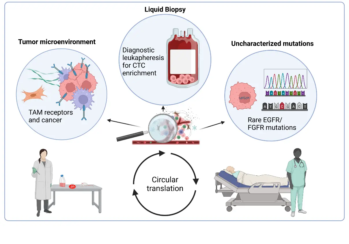 Graphical abstract circular translation