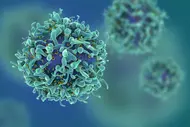 Cg render of t-cells or cancer cells Die Abbildung zeigt eine grafische Darstellung von T-Zellen, die wichtige Immunzellen des Körpers sind. Die Zellen erscheinen rundlich mit einer komplexen, strukturierten Oberfläche und sind in einem verschwommenen Hintergrund angeordnet. Diese Darstellung unterstreicht ihre Rolle im Immunsystem und in der Krebsforschung.