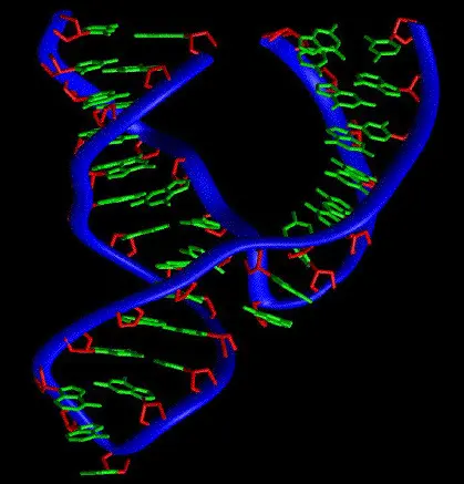 Structure of the self-clearing component of a ribozyme