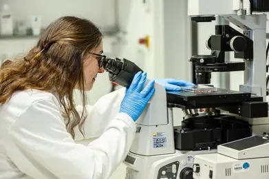 A researcher in a lab coat and blue gloves examines a slide under a microscope. The image highlights the equipment used for scientific study, emphasizing a focus on meticulous analysis in a laboratory environment.
