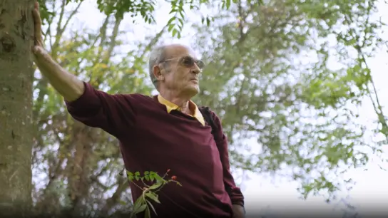 Ernst Kretschmann leans his arm against a tree and gazes into the distance