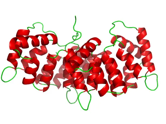 Molekülmodell des Annexins