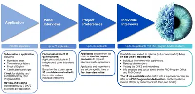 This figure shows an overview of the PhD Selection Process.