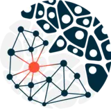 A stylized representation of a network, featuring interconnected black nodes and lines against a contrasting background. A prominent red node at the center highlights its significance within the network structure. The composition suggests themes of connectivity and complexity.