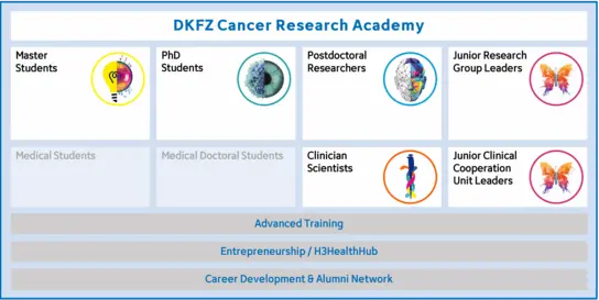 Das Bild zeigt eine Übersicht der DKFZ Cancer Research Academy, die verschiedene Gruppierungen von Studierenden und Forschenden in der Krebsforschung darstellt: Master- und Medizinstudenten, Doktoranden, Postdoktoranden, klinische Wissenschaftler und Gruppenleiter. Weitere Kategorien umfassen Fortbildung und Netzwerke.